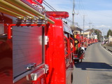 f5568167.jpg
