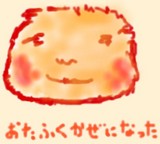 6f3ae262.jpg