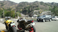 20110410-1