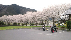 20110417