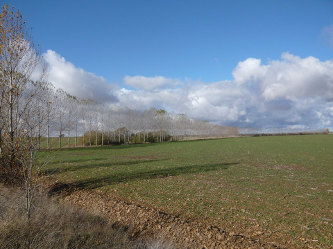 P1080865