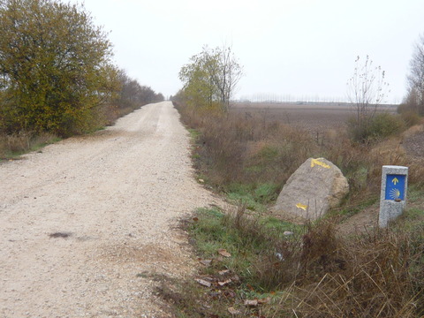 P1080855
