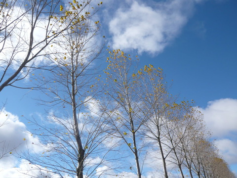 P1080863