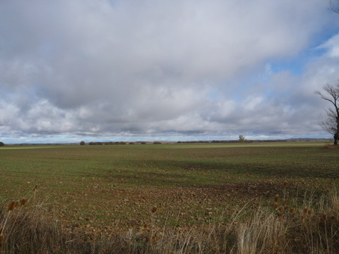 P1080859