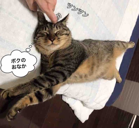 FullSizeRender