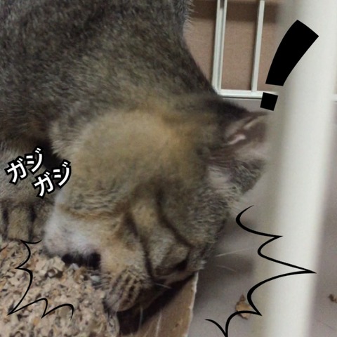 IMG_3190[1]
