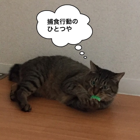 2017-12-10-22-41-25