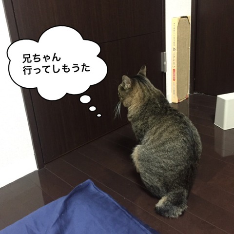 IMG_6637[1]