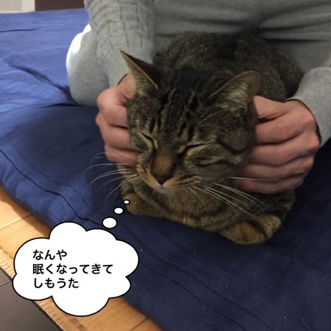 2018-01-14-19-31-24
