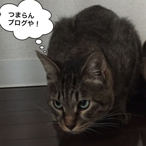 IMG_5578[1]