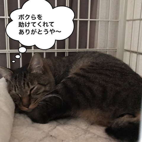 IMG_5823[1]