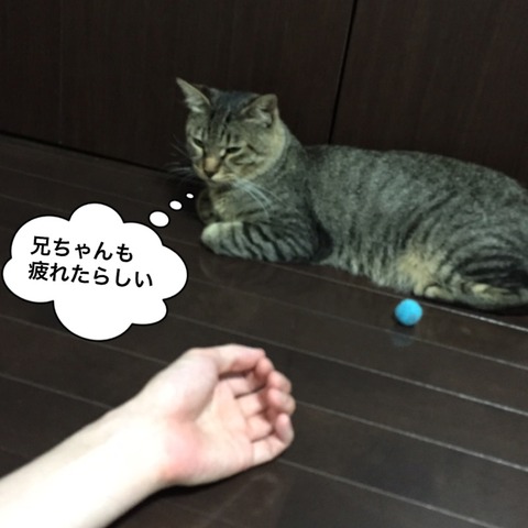IMG_4342[1]