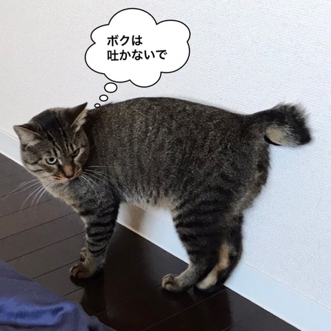 2017-12-09-17-29-38