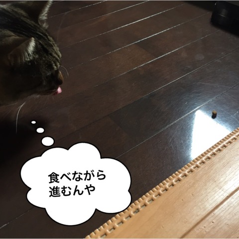 IMG_6273[1]