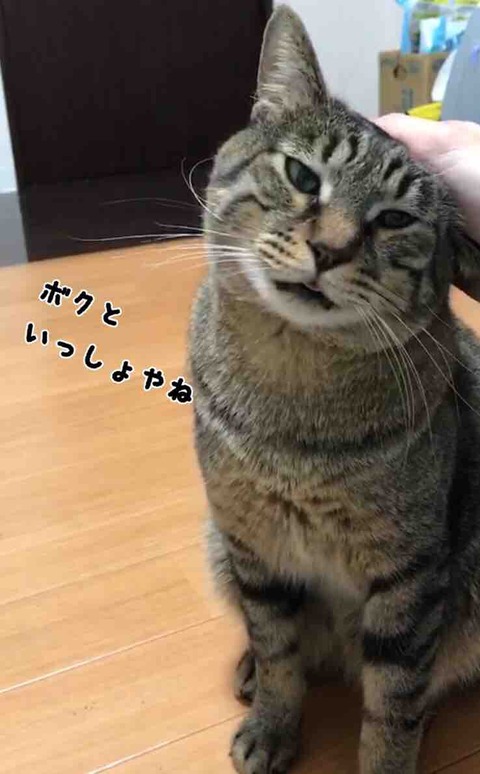 FullSizeRender