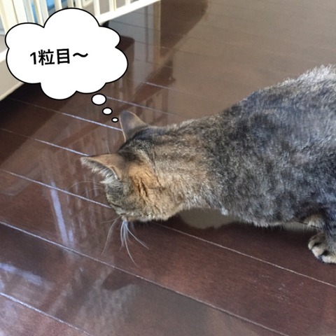 IMG_5021[1]