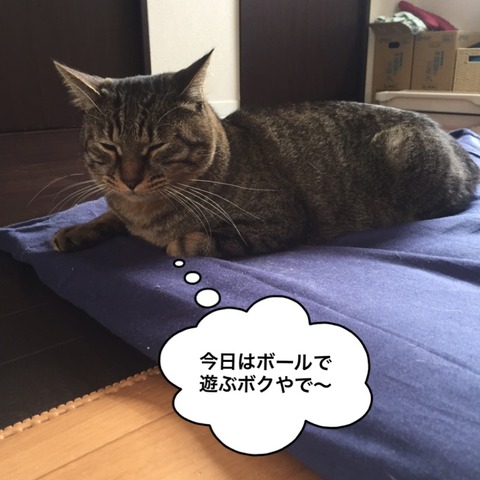 IMG_6802[1]