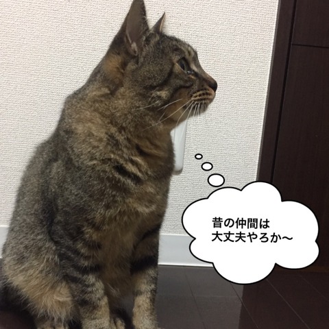 IMG_6285[1]