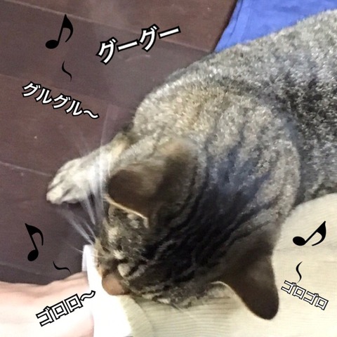 2017-12-19-17-55-44