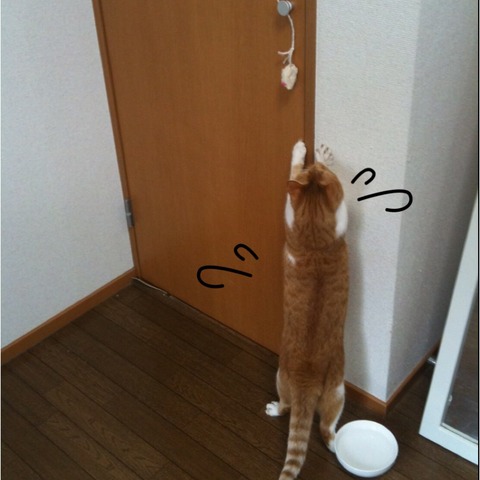 IMG_3407[1]