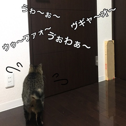 2017-12-27-23-21-50