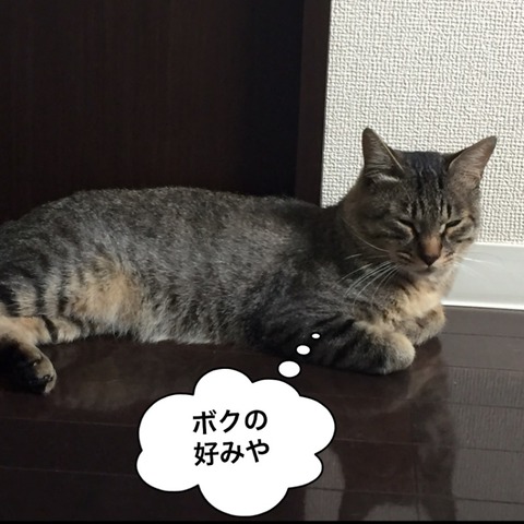 IMG_4609[1]