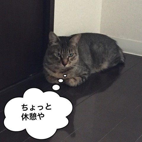 IMG_3977[1]