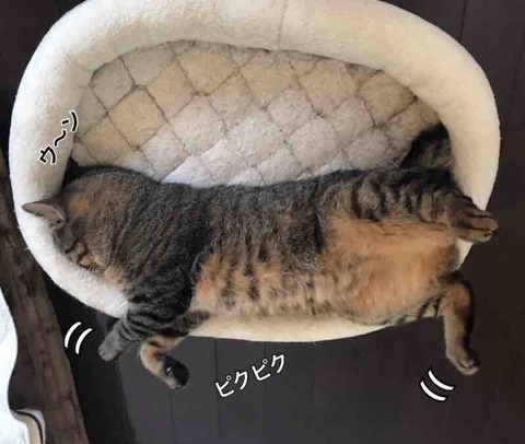 FullSizeRender