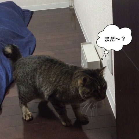 2017-12-30-22-07-01