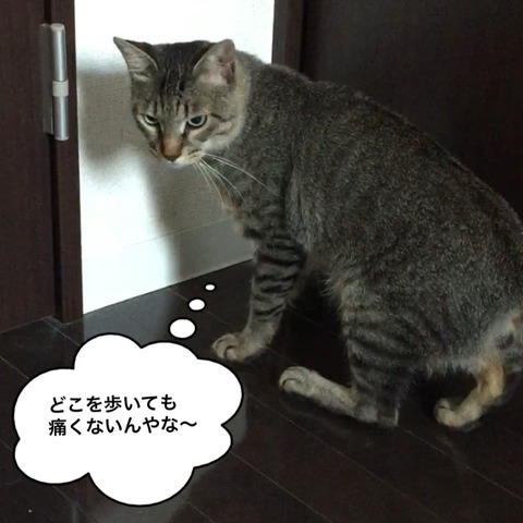 IMG_3978[1]