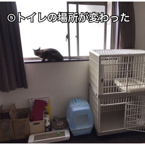 IMG_6724[1]