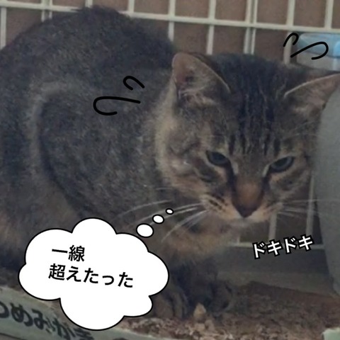 IMG_3692[1]