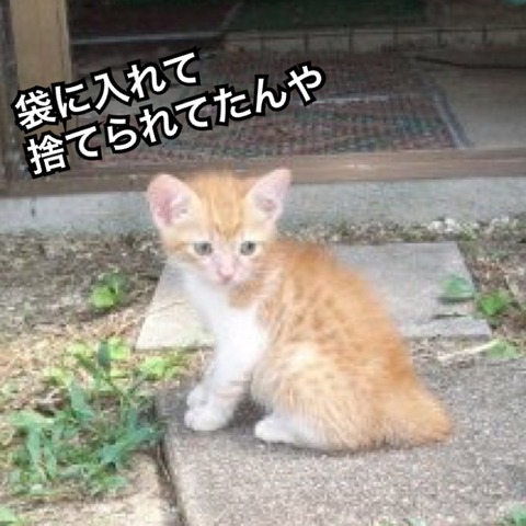 IMG_2708[1]
