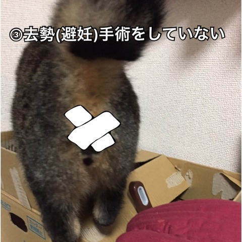 IMG_6722[1]