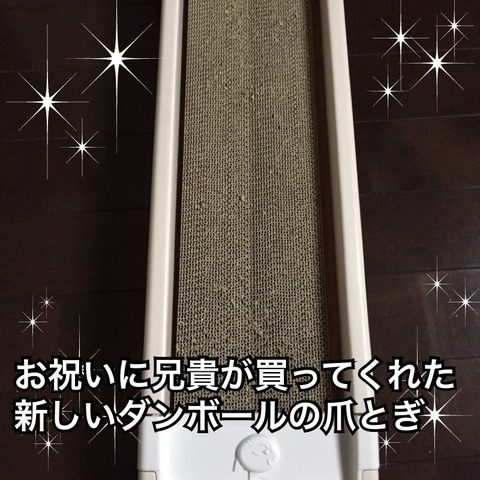 IMG_4604[1]