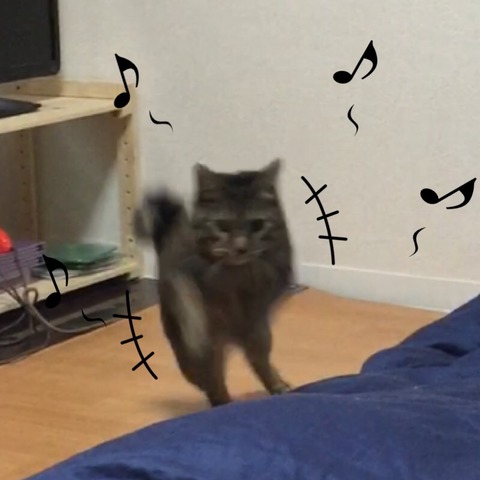 2017-12-30-22-04-39