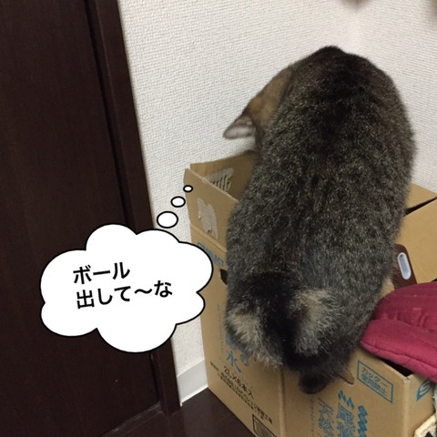IMG_6710[1]