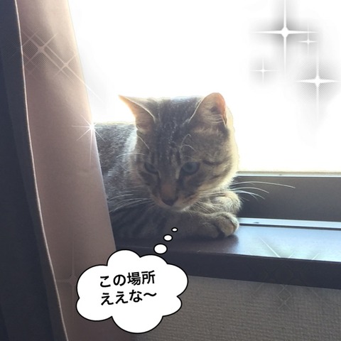 IMG_3980[1]