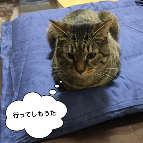2017-12-28-17-03-01
