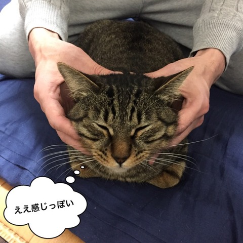 2018-01-14-19-39-31