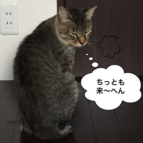 IMG_4277[1]