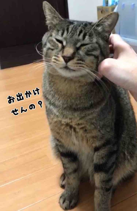 FullSizeRender