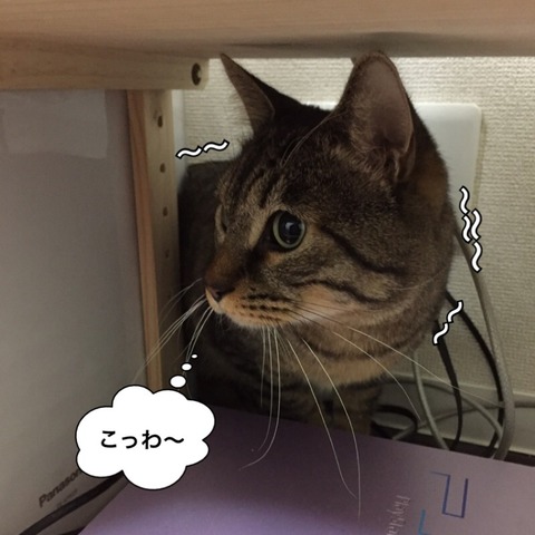 2017-12-27-23-29-43