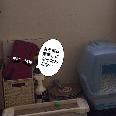 IMG_6590[1]