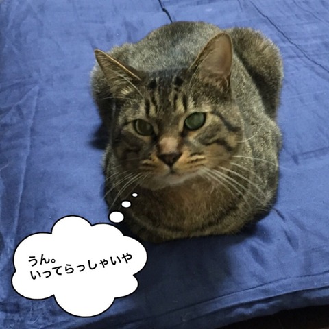 2017-12-28-17-01-55