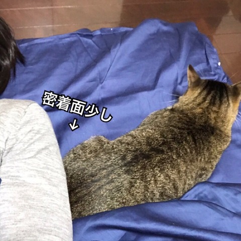 2017-12-13-21-14-27