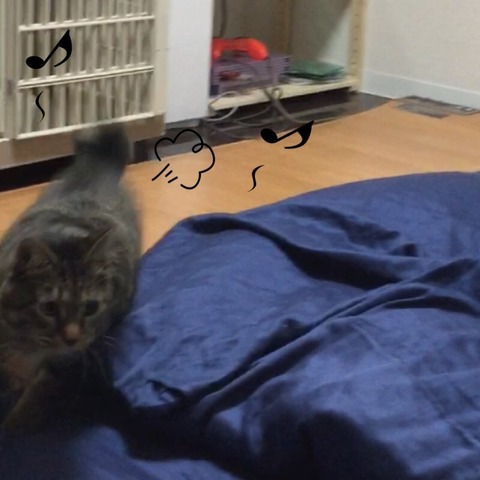 2017-12-30-22-19-43