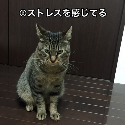 IMG_6720[1]