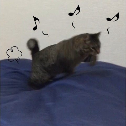 2017-12-30-22-06-08