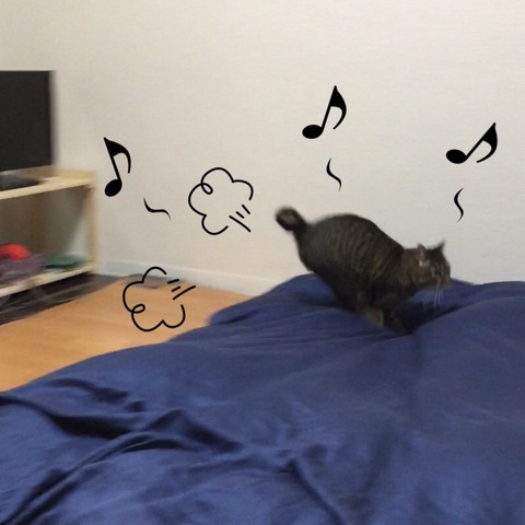 2017-12-30-23-08-45